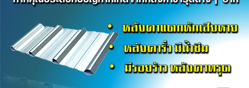 ซ่อมหลังคา